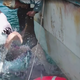 Still: 47 Meters Down